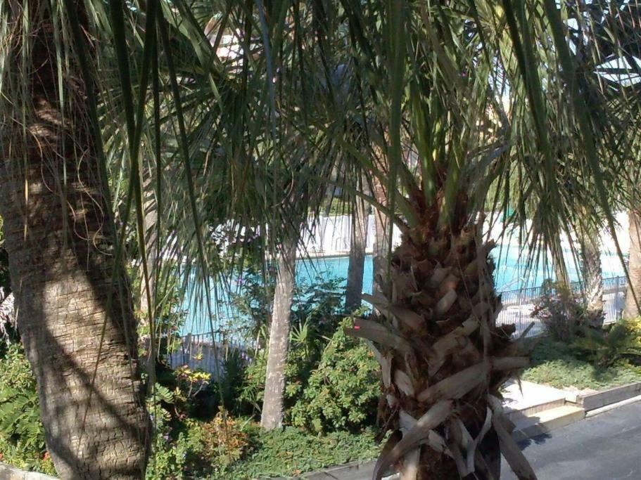 Beach Getaway III At Belleview Lägenhet Clearwater Beach Exteriör bild